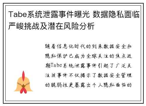 Tabe系统泄露事件曝光 数据隐私面临严峻挑战及潜在风险分析